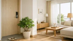 옥나무(돈나무) 어디에 둘까 남동·현관 풍수 자리와 인테리어 배치 팁